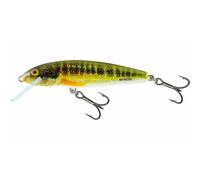 Salmo Minnow 5cm Floating