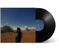Floating On A Dream [VINYL]