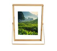 Floating Picture Frames: 8 Inch Metal Table Top Screen, Desktop Photo Frame, Glass Suspended Frame | Home Studio Decor, Bed Bedroom Ornament, Panta