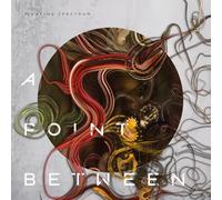 Floating Spectrum - A Point Between [VINYL]
