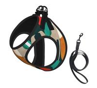 Flock Of Birds Print Dog Harness Small Sized And Leash Set, Step In Soft Light Puppy Vest Breathable Mesh Pet Harness