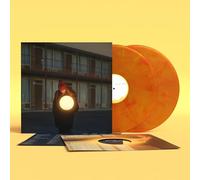 Flock Of Dimes - The Life You Save [VINYL]