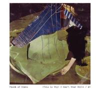 Flock Of Dimes - (This Is Why) I Can't Wear White/ 15 [7" VINYL]