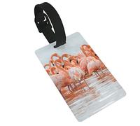 Flock of Greater Flamingos 2 Pcs Luggage Tags, Privacy Cover ID Label Loop and Address Card for Travel Bag Suitcase