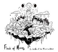Flock of Moons - In The Wake Of The Trembling Hand [Vinyl LP] [VINYL]