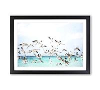 Flock of Seagulls Over The Sea Painting Framed Print | A2 Black Framed Wall Art | Ready to Hang | Modern Animal Picture | Living Room Bedroom Lounge Office