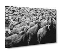 Flock of Sheep No.2 Modern Canvas Wall Art Print Ready to Hang, Framed Picture for Living Room Bedroom Home Office Décor, 30x20 Inch (76x50 cm)