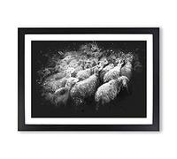Flock of Sheep Vol.1 Paint Splash Framed Print | A2 Black Framed Wall Art | Ready to Hang | Modern Animal Picture | Living Room Bedroom Lounge Office