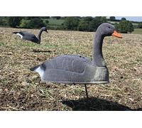 Flocked Greylag/Pinkfoot Goose Shell Life Sized Decoy