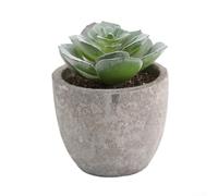Flocking Mini Succulent Plant for Indoor Decoration, Bringing a Touch of Nature to Your Space (4)