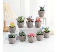 Flocking Mini Succulent Plant for Indoor Decoration, Bringing a Touch of Nature to Your Space (5)