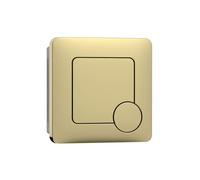 FLODE Square Push Button Flush Plate - Brushed Brass Toilet Flush Button Panel - Modern Dual Flush Wall Plate for Concealed Cisterns - Luxury Bathroom Accessory