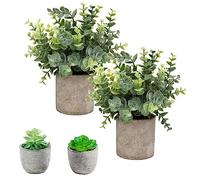 Flojery Small Fake Plants Eucalyptus Potted Mini Artificial Boxwood Rosemary Greenery in Pots Faux Herbs House for Indoor Tabletop Set of 4 (Potplants-PT-DR)