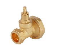Flomasta Brass Compression Pump Valve (Dia)22mm