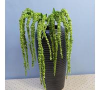 Flone 8 Branch Artificial Green Plants fake Lover Fruit Green Amaranthus Flowers Wedding Home DIY Decoration Foam Flowers-Green