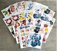 Flonz Decoupage Paper Pack (18 Sheets 20x30cm) Irises Beautiful Awesome Flowers Paper for Decoupage and Craft Vintage Painting Illustration by Lowell Blair Nesbitt