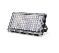 Flood Light Outdoor, 50W 100W Outdoor Led Floodlight Full Spectrum LED Plant Growth Lamp Led Spotlight Projector Streetlight Led Grow Light for Garage, Yard(100W with Plug)