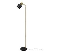 Floor Light Black Adam And Brass Trio R41041080