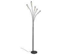 Floor Light Black Reed LED Matt Trio R41031532