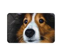 Floor Mat 40X60cm, Shetland Sheepdog Barrier Mats Durable Doormat Decorative Door Mats For Patio Office Kitchen