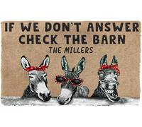 Floor Mats Indoor, Slim Household Foyer Rug, Front Indoor Door (40×60) | Door Mat Indoore Ntrancecheck The Donkey, Barn, Individual Name, Foot Mat, Personalized Gifts, Home Decoration, Inauguration