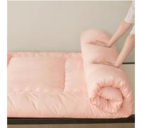 Floor Mattress Single Tatami Thick Futon, for Boys Girls Adult Student Dormitory Mattress,Portable Sleeping Mattress Roll Up Foldable Mattress