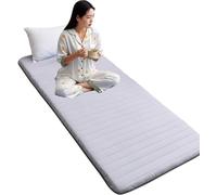 Floor Mattress Single with A Reusable Vacuum Storage Bag - Japanese Tatami Mat Cotton Futon Pad Roll Up Mattress Foldable Lounger Guest Bed Camping Couch Student Dormitory Bed (90x200CM,Grey)