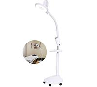 Floor Standing Magnifier Lamp With Hands Free Daylight Adjustable Brightness LED Light, Hose One Button Switch For Reading, Beauty, Hobbies And Craft White B