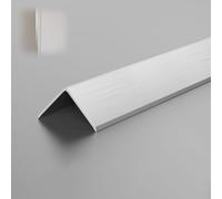 Floor Transition Strip Aluminum, 3 pcs Wall Corner Protector 1 m Floor Edging Trim Strip Stair Edge Protector for Laminate Floor/Vinyl/Tile(Brushed Silver,20 mmx1 m)