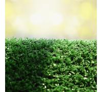 Floordirekt Artificial Grass Premium Spring Easy Care Durable Ideal For Balcony Terrace Green 7mm - 100 X 100 Cm