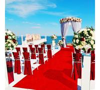 Floordirekt Red Carpet Runner VIP Carpet Aisle Runner Event Runway Carper Premier Wedding Walkway Runner (200 x 200 cm)