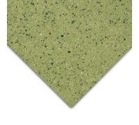 Floordirekt Xtreme Mira 550M Cv Sheet Vinyl Flooring Pvc 2mm Class 34 Commercial R10 Bfl-S1 Kitchen Living Light Green 100 X 600 Cm
