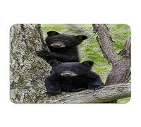 Floormats Black Bear Doormat Waterproof Door Mat Multipurpose Bathroommat For Hall Home Bathroom 40X60 CM