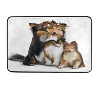 Floormats Family Collie Dogs Dog Puppy Entrance Rug Waterproof Bathroommat Multipurpose Door Mat For Office Home Bath 40X60 CM