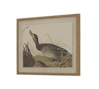 Sostter Duck Artwork in Beaded Frame on Linen Canvas in Beige Sostter Beige