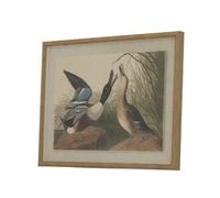 Sostter Framed Mallard Duck Art on Linen Canvas in Beige Sostter Beige