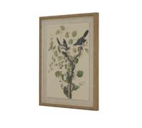 Flora & Fauna Collection Shrikes On Linen In Beaded Frame