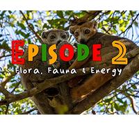 Flora, Fauna & Energy