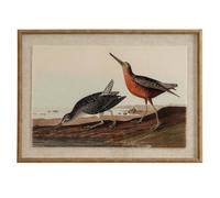 Flora & Fauna Snipes On Linen Wall Art With Beaded Frame