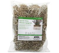 FloraCraft Art Craft, Others, Brown, 2 oz