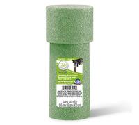 FloraCraft FloraFōM Memorial Vase Insert 3.4 Inch x 8 Inch Green