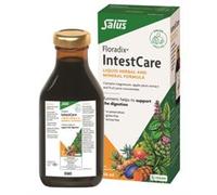 Floradix IntestCare 250ml
