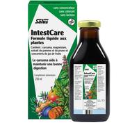 Floradix Intestcare 250ml