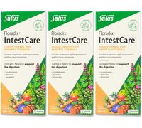 Floradix IntestCare 250ml x3 Supplement