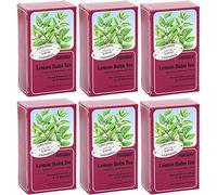 Floradix Lemon Balm Teabags 15 Teabags