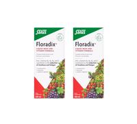 Floradix Magnesium Liquid Mineral Formula 250ml