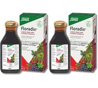 Floradix Liquid Iron and Vitamin Formula 250ml X 2