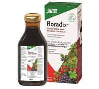 Floradix liquid iron formula 250ml - 4 Pack