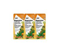 Floradix Magnesium Liquid Mineral Supplement 250ml (Pack of 3)
