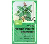 Floradix Peppermint Organic Herbal Tea 15 filterbags-10 Pack